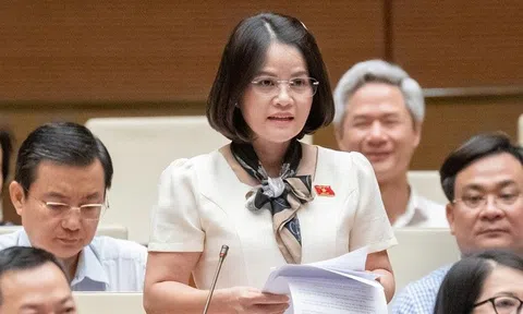 Hàng giả lan rộng, có cán bộ tiếp tay: Đại biểu nói cần cả "chống" lẫn "xây"