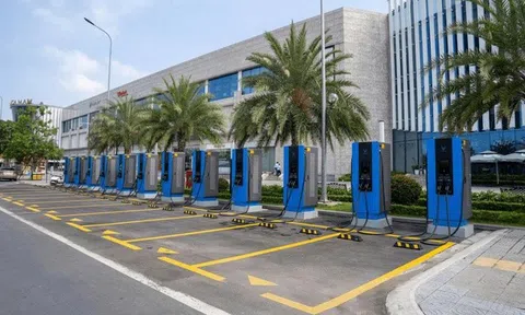 Công ty của tỷ phú Phạm Nhật Vượng bổ nhiệm Chủ tịch HĐQT mới