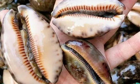 Đặc sản nghe tên "ngượng đỏ mặt" xưa không ai ăn nay 150.000 đồng