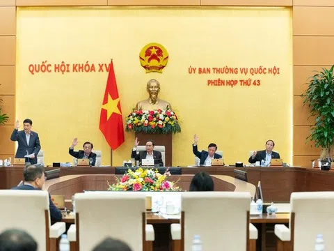 Giảm 30% tiền thuê đất năm 2024 để giúp doanh nghiệp vượt khó