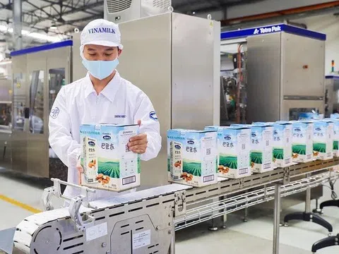 Đầu tư SCIC muốn bán toàn bộ cổ phiếu tại Vinamilk