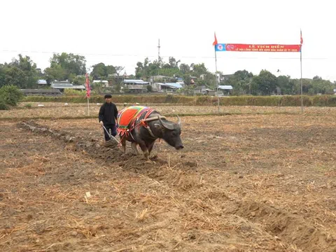 Lễ hội Lồng Tồng ATK Định Hóa – Gìn giữ mạch nguồn văn hóa giữa “Thủ đô gió ngàn”