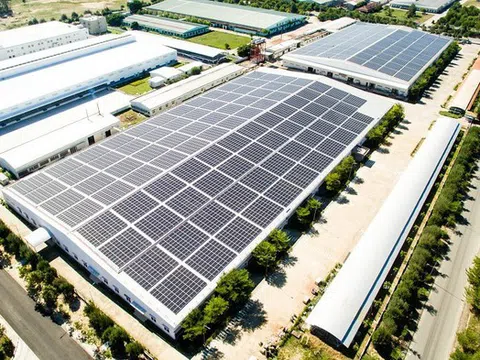 Điều gì đang “níu chân” Bamboo Capital và Tracodi khi liên tiếp hoãn BCTC kiểm toán?