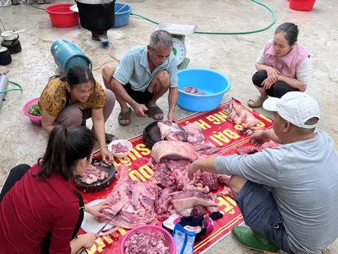 Tục "đụng lợn", "đụng bánh chưng" giữ nhịp Tết làng quê