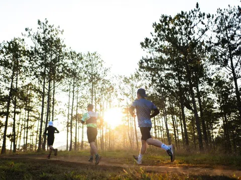 “F5” bản thân cho năm mới thêm phấn chấn cùng giải chạy Dalat Ultra Trail 2026